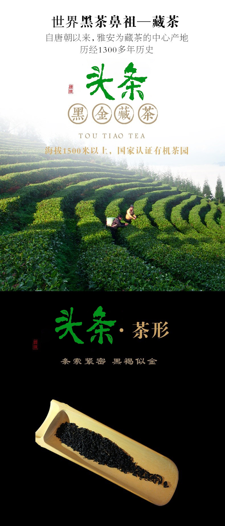 头条茶品 1